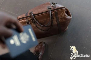 جدیدترین مدل های کیف پاسپورتی و کاربردهای آن